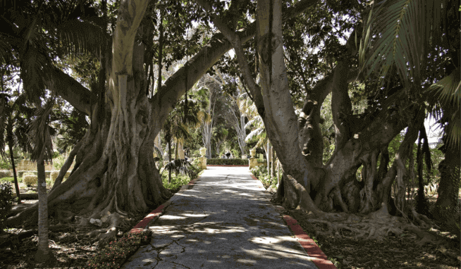 San Anton Gardens, Mdina & Rabat Tour